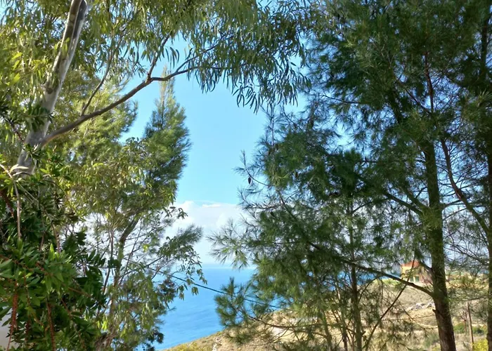 Rania-apartments 2 Lejlighed Argostoli (Kefalonia)